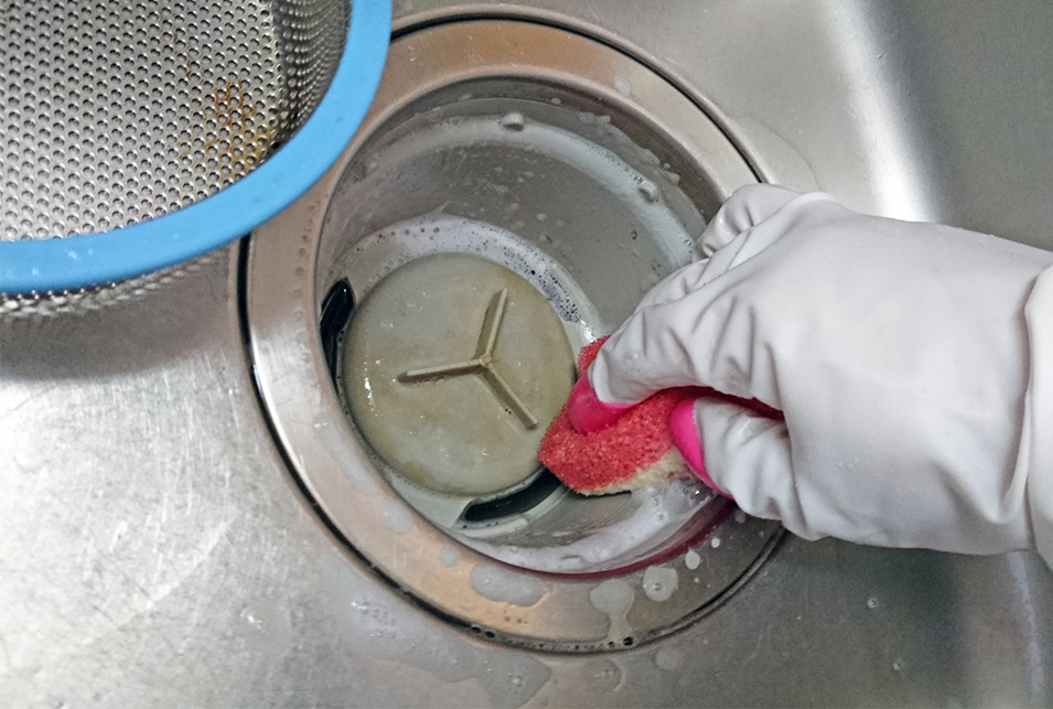 キッチンの黒カビ除去 排水口とゴムパッキンを清潔に保つ方法とは レスキューラボ