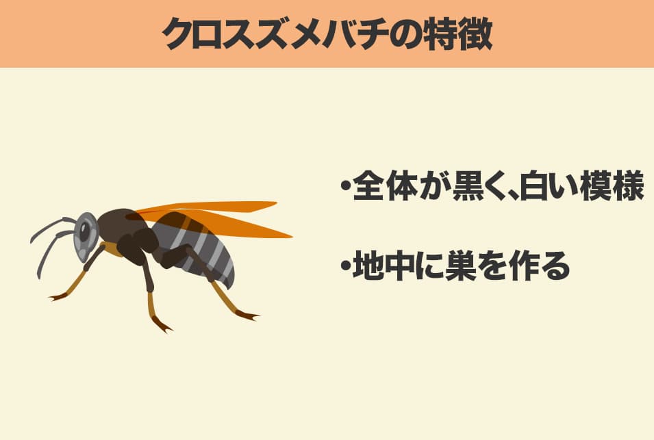 黒い大きなスズメバチは危険 種類と特徴を紹介 レスキューラボ