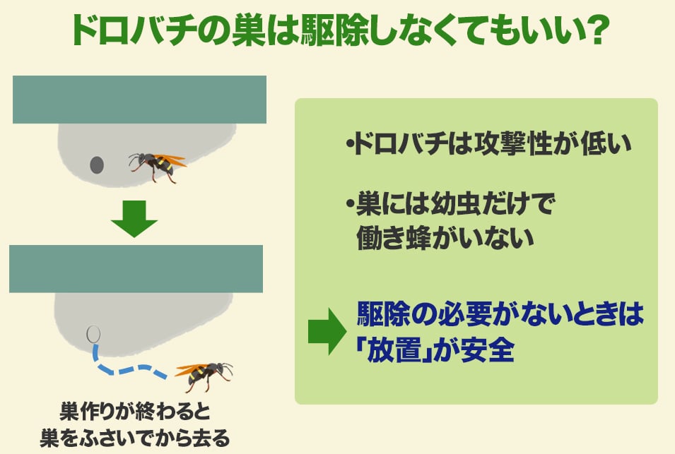 土でできた蜂の巣の駆除はどうやる ドロバチとオオスズメバチの巣の違いも解説 レスキューラボ