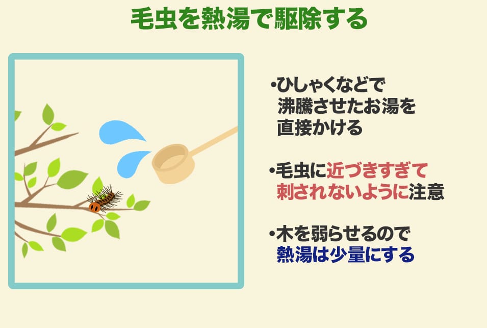 毛虫駆除のやり方とは 木酢液や駆除薬の使い方を解説 レスキューラボ
