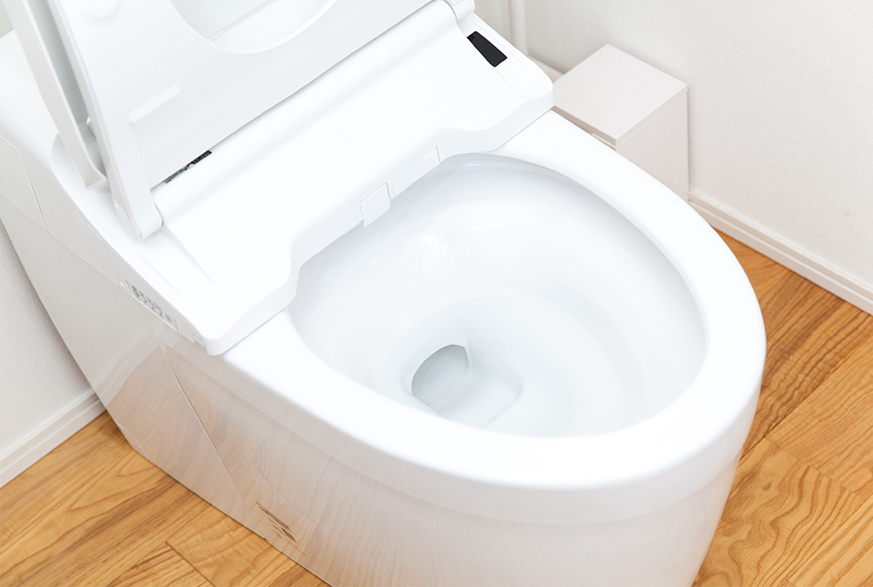 トイレの黒ずみ・黒カビの掃除方法と予防法を一挙紹介！ レスキューラボ