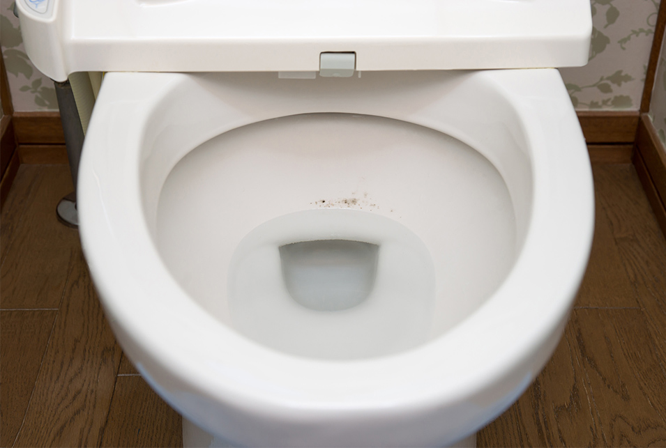 トイレが下水臭い原因と対処方法「アレ」を使えばすっきりだった！ レスキューラボ
