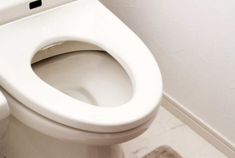 トイレ便器の奥の掃除方法 レスキューラボ
