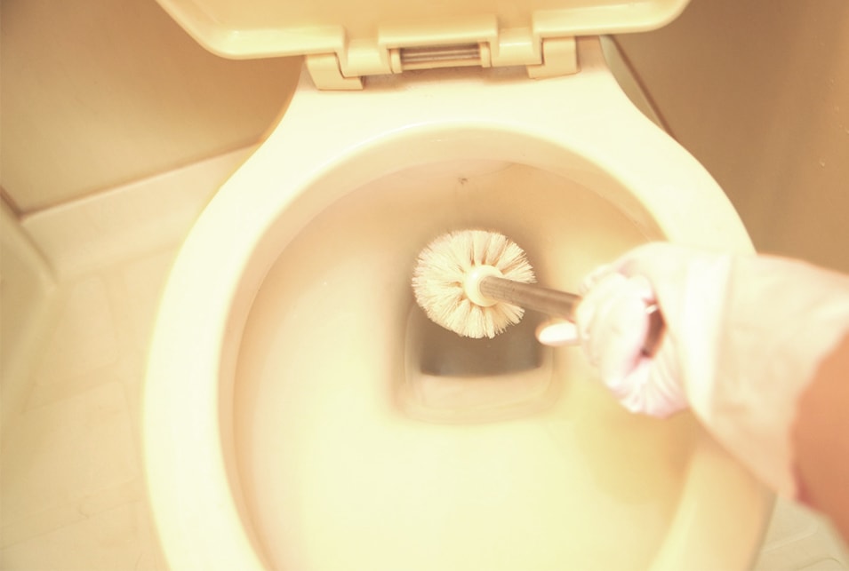 トイレ便器の奥の掃除方法 レスキューラボ